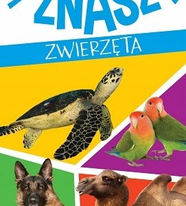 11375043001